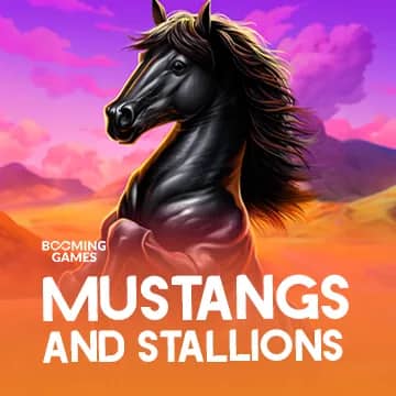 Mustangs and Stallions