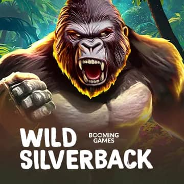 Wild Silverback